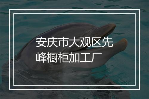 安庆市大观区先峰橱柜加工厂
