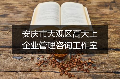 安庆市大观区高大上企业管理咨询工作室