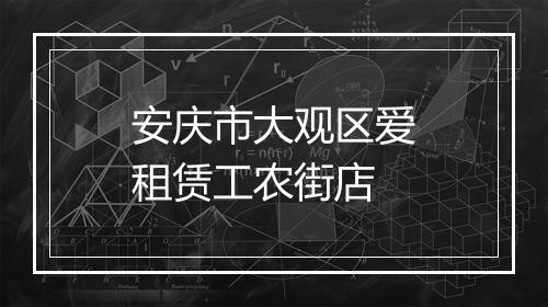 安庆市大观区爱租赁工农街店