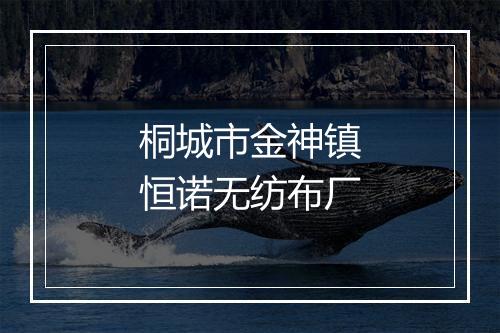桐城市金神镇恒诺无纺布厂