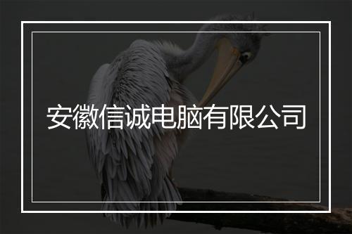 安徽信诚电脑有限公司