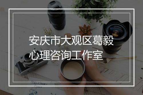 安庆市大观区葛毅心理咨询工作室