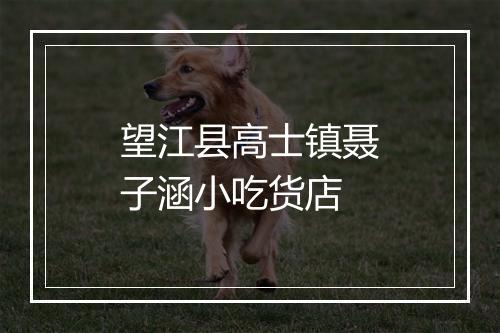 望江县高士镇聂子涵小吃货店