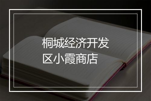 桐城经济开发区小霞商店