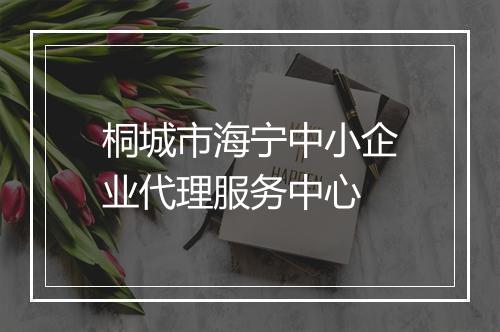 桐城市海宁中小企业代理服务中心