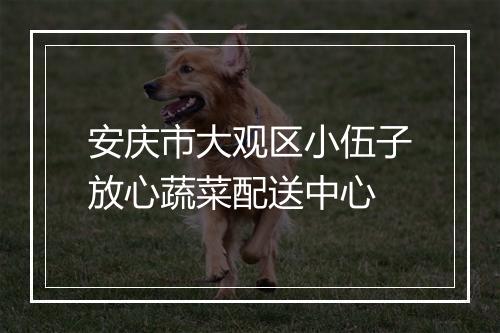 安庆市大观区小伍子放心蔬菜配送中心