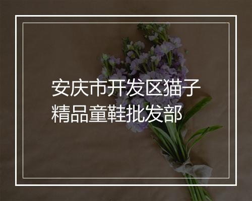 安庆市开发区猫子精品童鞋批发部