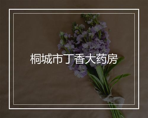 桐城市丁香大药房