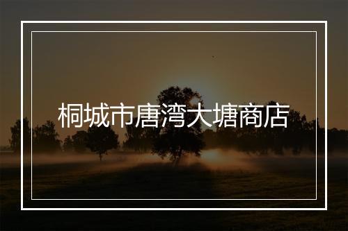 桐城市唐湾大塘商店