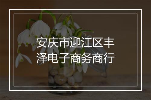 安庆市迎江区丰泽电子商务商行