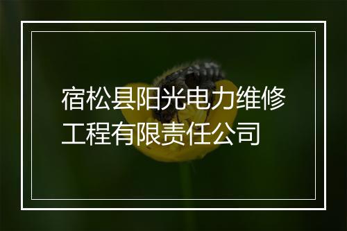 宿松县阳光电力维修工程有限责任公司