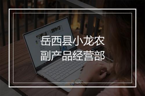 岳西县小龙农副产品经营部