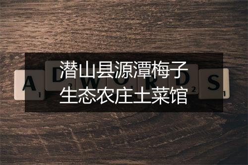 潜山县源潭梅子生态农庄土菜馆