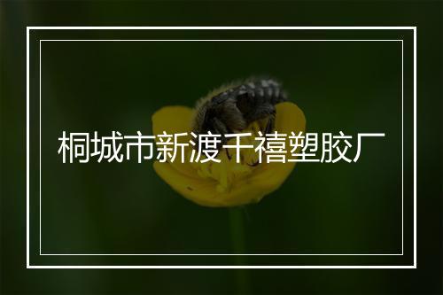 桐城市新渡千禧塑胶厂