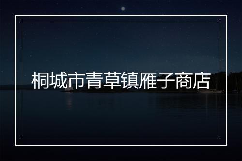 桐城市青草镇雁子商店