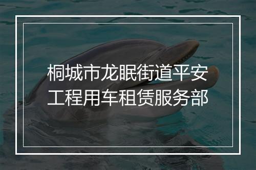 桐城市龙眠街道平安工程用车租赁服务部