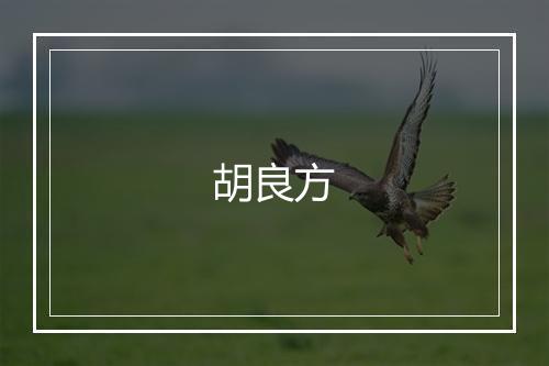 胡良方