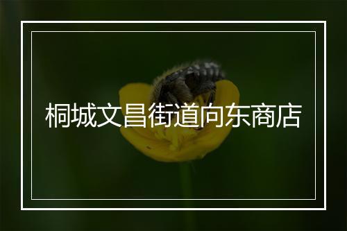 桐城文昌街道向东商店