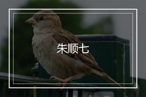 朱顺七