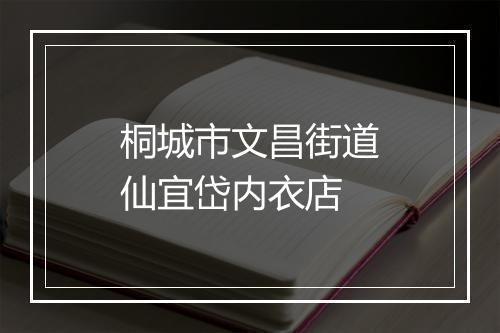 桐城市文昌街道仙宜岱内衣店