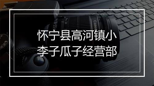 怀宁县高河镇小李子瓜子经营部