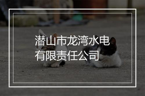 潜山市龙湾水电有限责任公司