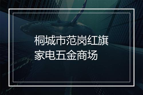 桐城市范岗红旗家电五金商场