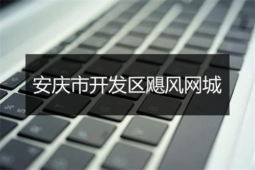 安庆市开发区飓风网城