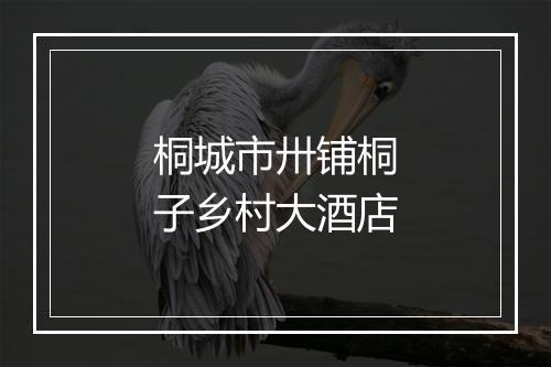 桐城市卅铺桐子乡村大酒店