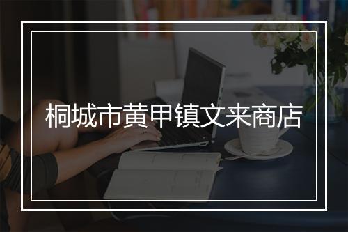 桐城市黄甲镇文来商店