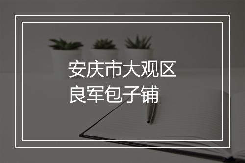 安庆市大观区良军包子铺
