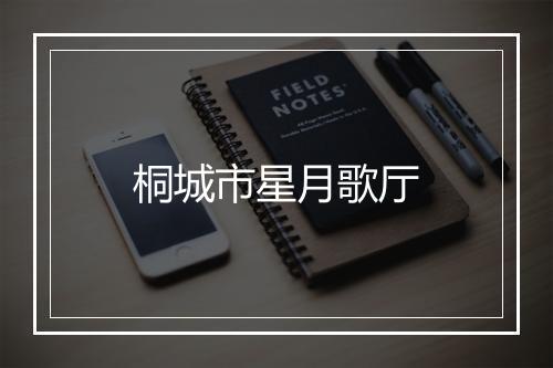 桐城市星月歌厅
