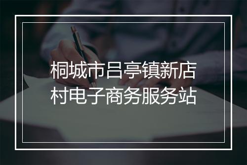 桐城市吕亭镇新店村电子商务服务站