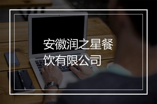 安徽润之星餐饮有限公司