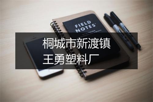 桐城市新渡镇王勇塑料厂