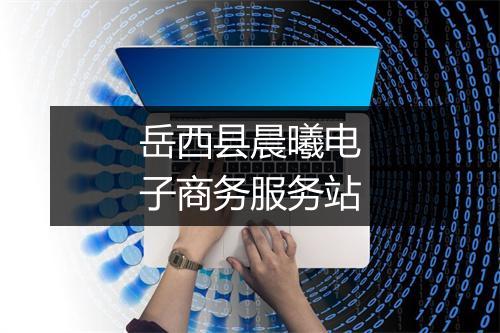 岳西县晨曦电子商务服务站