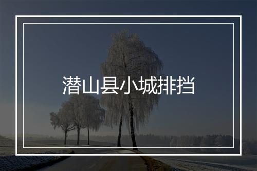 潜山县小城排挡