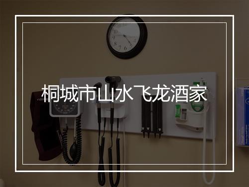 桐城市山水飞龙酒家