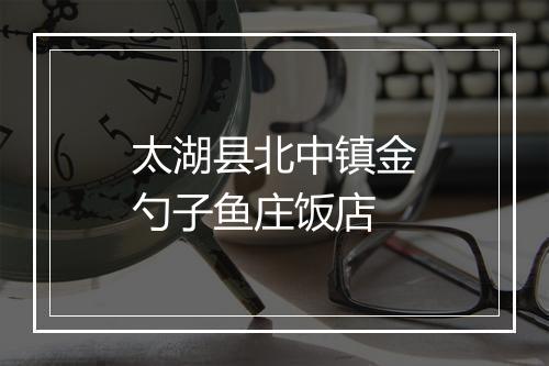 太湖县北中镇金勺子鱼庄饭店