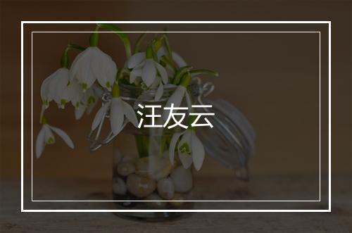 汪友云