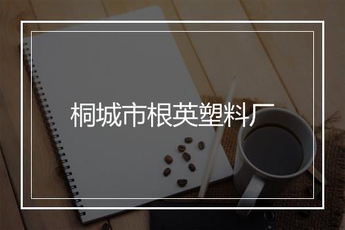 桐城市根英塑料厂