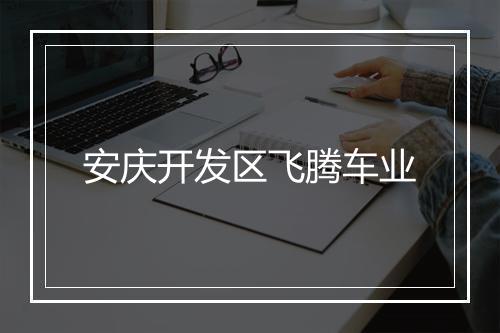 安庆开发区飞腾车业