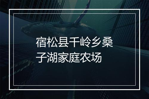 宿松县千岭乡桑子湖家庭农场