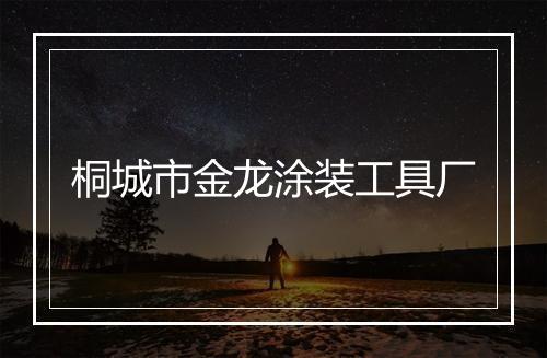 桐城市金龙涂装工具厂