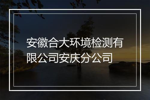 安徽合大环境检测有限公司安庆分公司