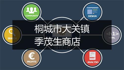 桐城市大关镇季茂生商店