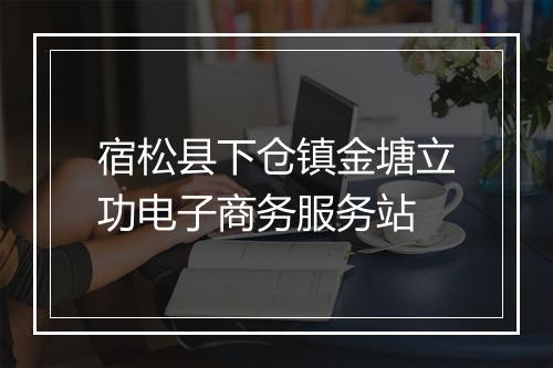 宿松县下仓镇金塘立功电子商务服务站