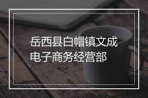 岳西县白帽镇文成电子商务经营部