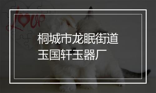桐城市龙眠街道玉国轩玉器厂