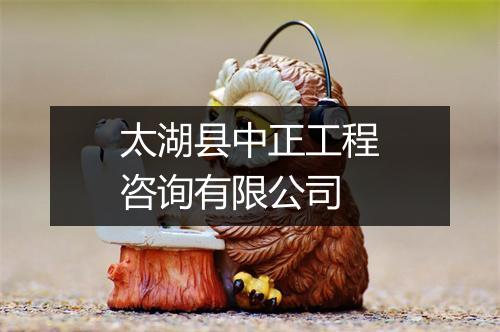 太湖县中正工程咨询有限公司